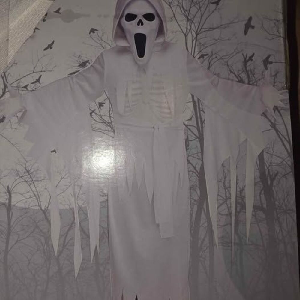 Way To Celebrate! Boys' Banshee Ghost Costume, Size M (8) nwt originally 45